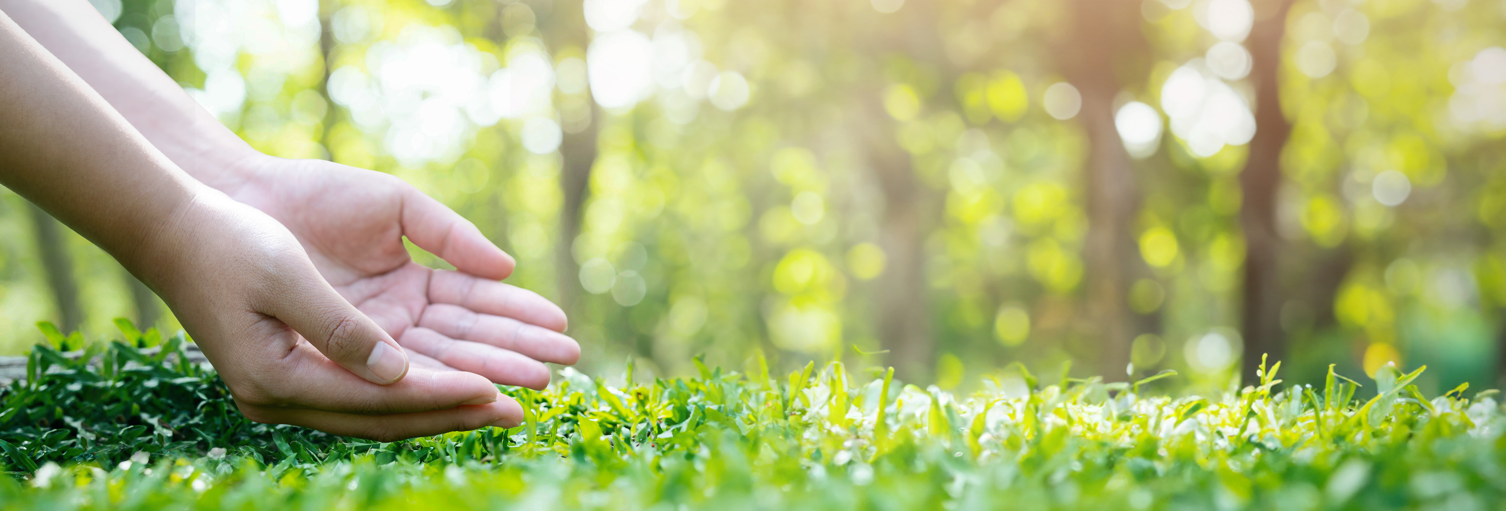 world environment day conserve the ecosystem save the world with