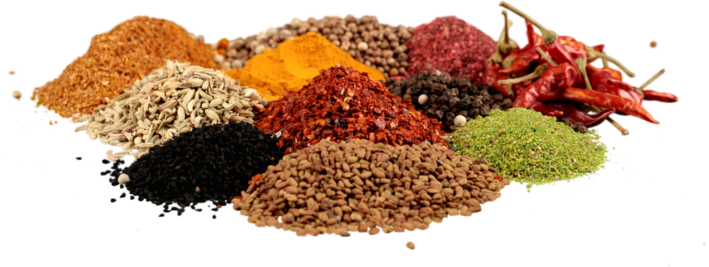 Variety of Dried Spice - Isolated